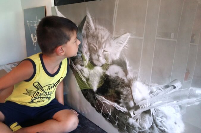 Dziecko całujące kociaki leżące w hamaku